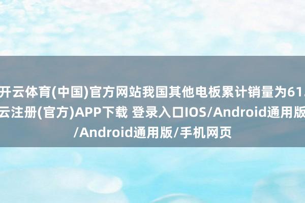 开云体育(中国)官方网站我国其他电板累计销量为61.6GWh-开云注册(官方)APP下载 登录入口IOS/Android通用版/手机网页